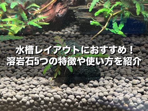 水中石|水槽レイアウトにおすすめの石17種類の名前と水質変化表